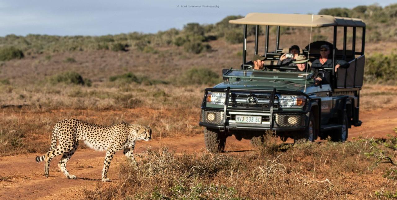 Woodbury Tented Camp - Amakhala Game Reserve Εξωτερικό φωτογραφία