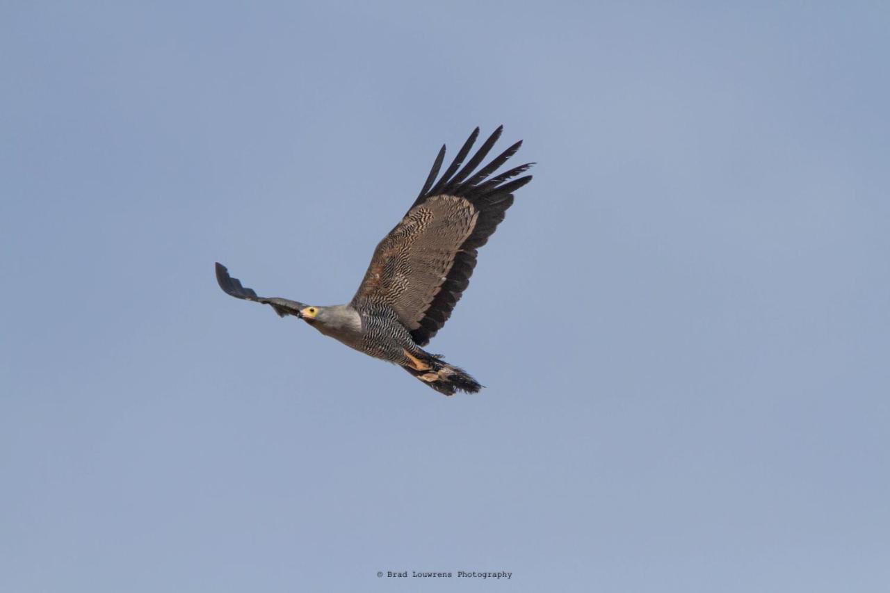 Woodbury Tented Camp - Amakhala Game Reserve Εξωτερικό φωτογραφία