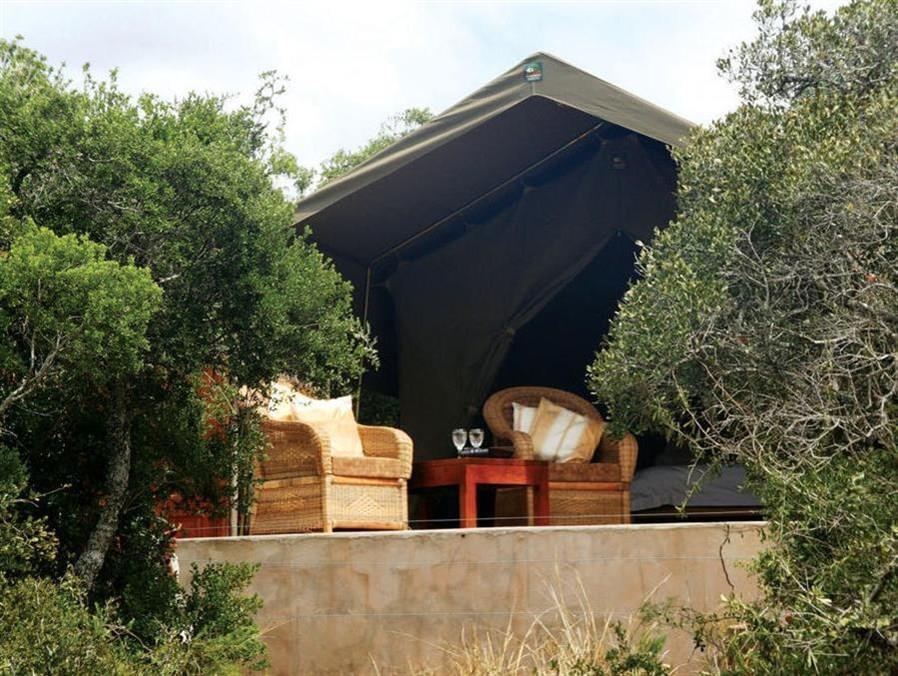 Woodbury Tented Camp - Amakhala Game Reserve Εξωτερικό φωτογραφία