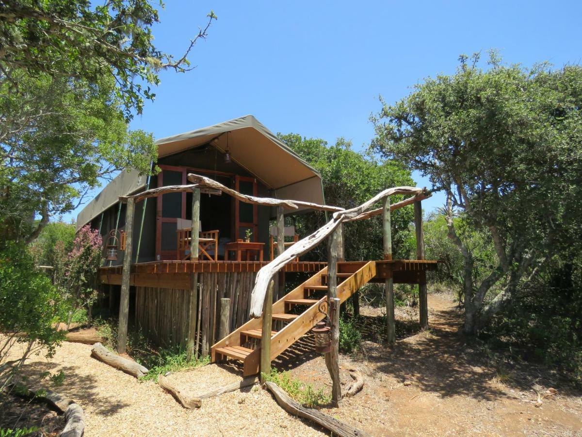 Woodbury Tented Camp - Amakhala Game Reserve Εξωτερικό φωτογραφία